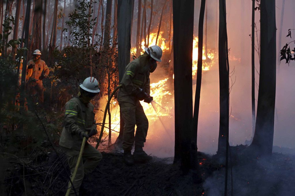 Portugal_Forest_Fires_05884.jpg