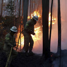 Portugal_Forest_Fires_05884.jpg