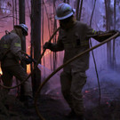 Portugal_Forest_Fires_76349.jpg
