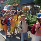 362595.jpg