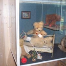 362603.jpg