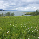20170607_104223_bearbeitet-1.jpg