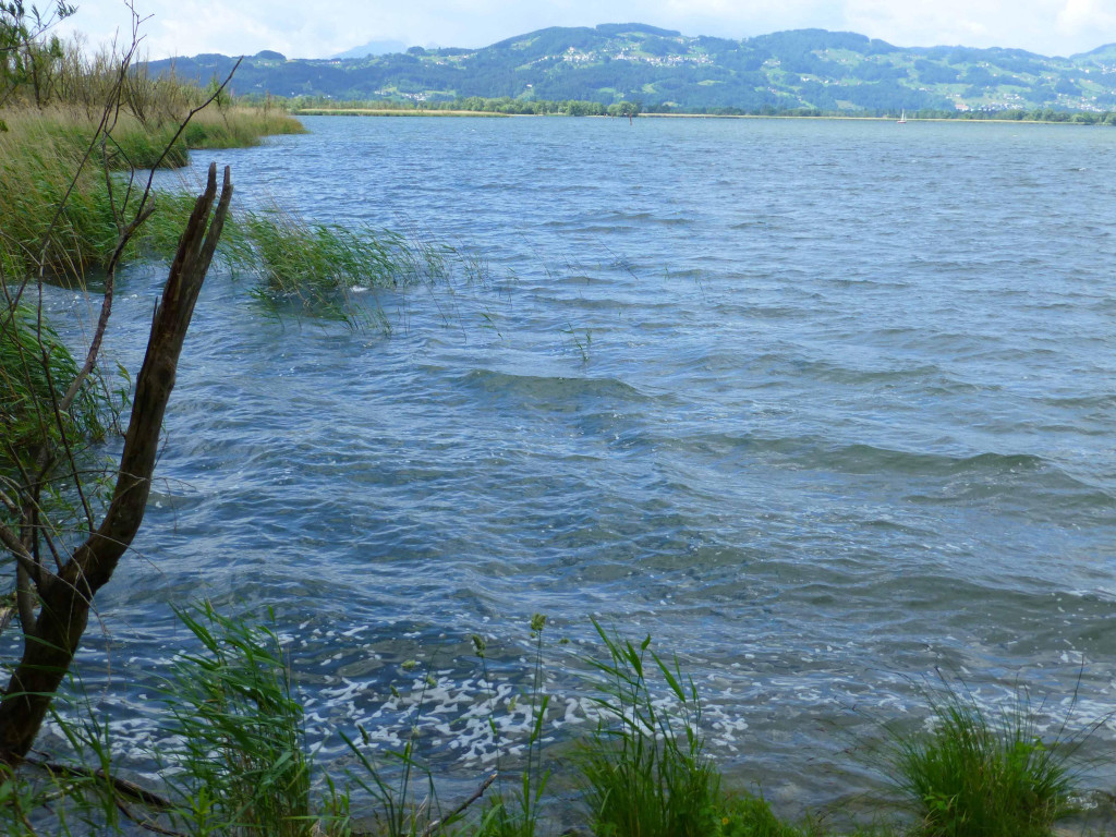 P1070829_bearbeitet-1.jpg