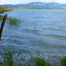P1070829_bearbeitet-1.jpg