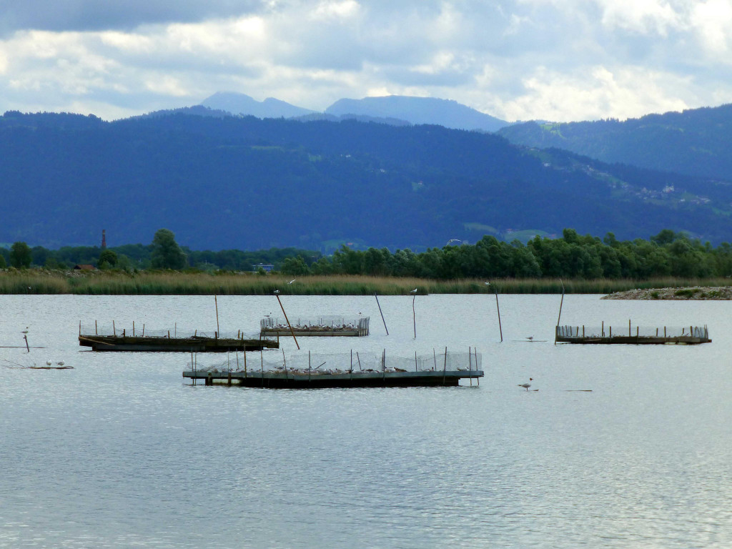 P1070836_bearbeitet-1.jpg