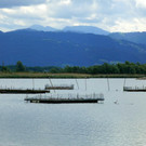 P1070836_bearbeitet-1.jpg