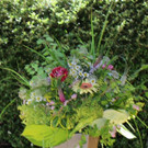 IMG_4078a.JPG