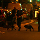 AFP_PO9W1.jpg