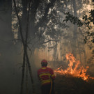 AFP_PO1A6.jpg