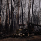 AFP_PO7TQ.jpg