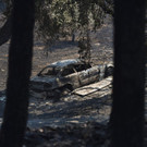 AFP_PO111.jpg