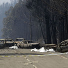APTOPIX_Portugal_Forest_Fires_06309.jpg