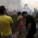 Portugal_Forest_Fires_46495.jpg
