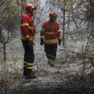 Portugal_Forest_Fires_78072.jpg