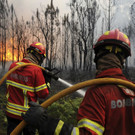Portugal_Forest_Fires_88825.jpg