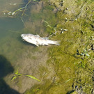20170619_102138_0__1_.jpg