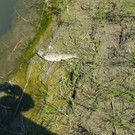 20170619_102128_1_.jpg