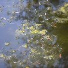 _DSC3350.JPG