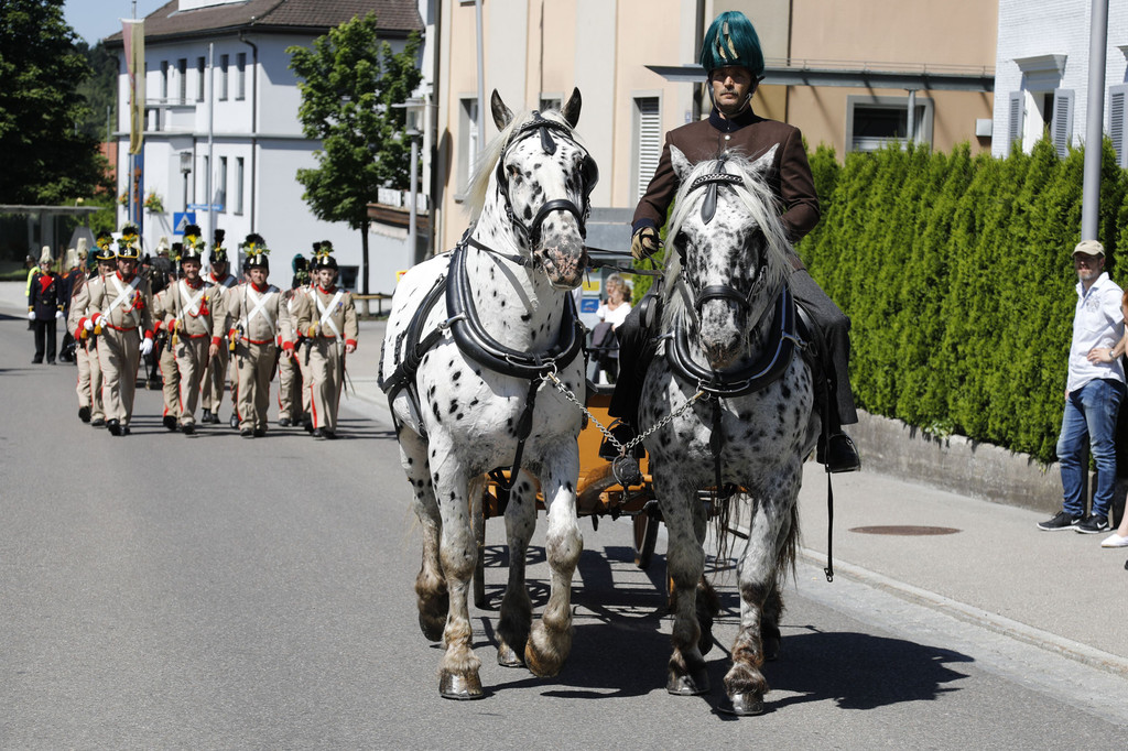 2017-06-18_0335_bearbeitet-1.jpg