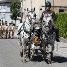 2017-06-18_0335_bearbeitet-1.jpg