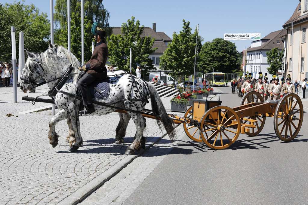 2017-06-18_0338_bearbeitet-1.jpg