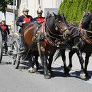 2017-06-18_0342_bearbeitet-1.jpg
