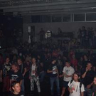 367044.jpg