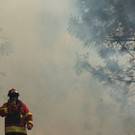 AFP_PP9J2.jpg