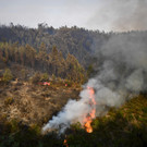 AFP_PQ02I.jpg
