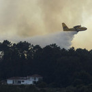 Portugal_Forest_Fires_13122.jpg