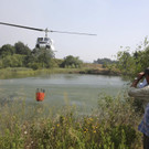 Portugal_Forest_Fires_30257.jpg
