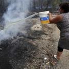 Portugal_Forest_Fires_51049.jpg