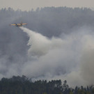 Portugal_Forest_Fires_54405.jpg