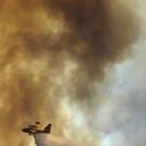 Portugal_Forest_Fires_68181.jpg
