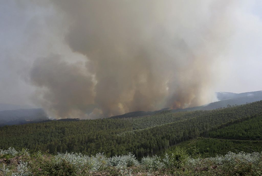 Portugal_Forest_Fires_95492.jpg