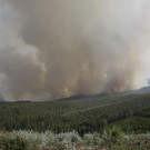 Portugal_Forest_Fires_95492.jpg