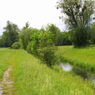 IMG_6344.JPG
