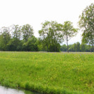IMG_6353.JPG