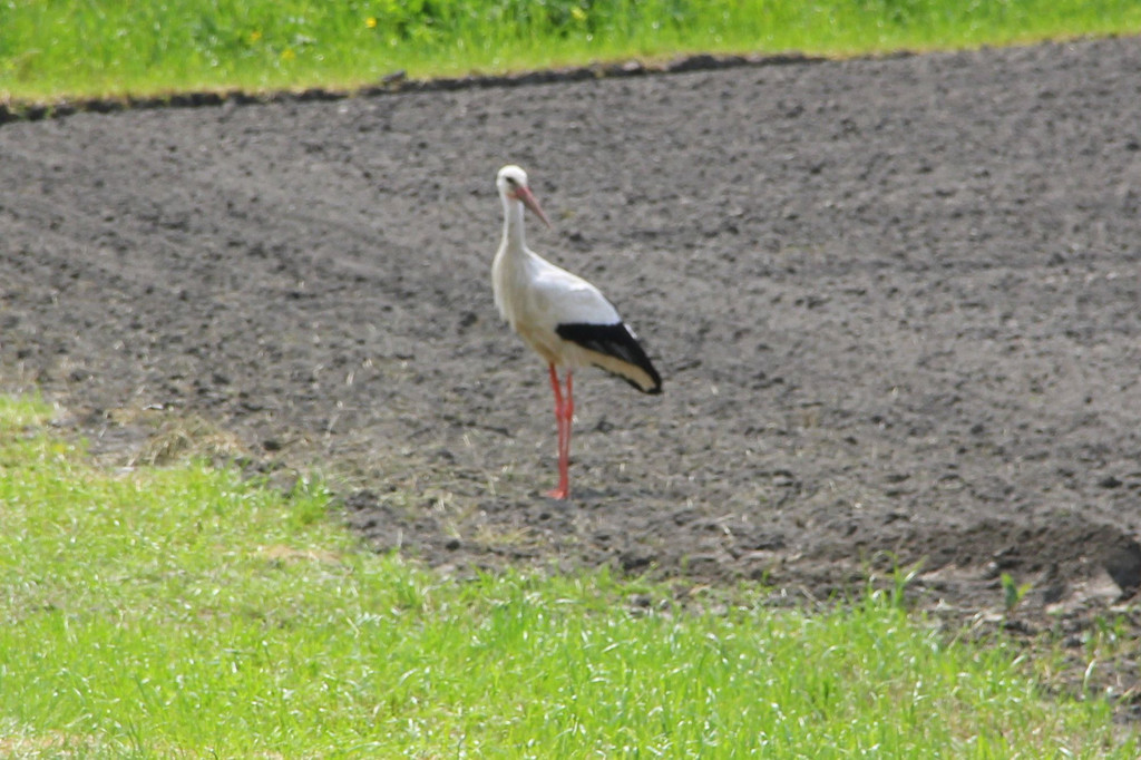 IMG_6364.JPG