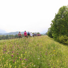 IMG_6391.JPG