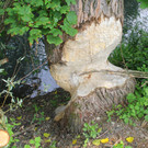 IMG_6400.JPG