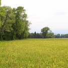 IMG_6405.JPG