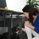 PURINA PetsOffice Catherina Gibel.jpg