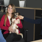 PURINA PetsOffice Lisa Hetzl.jpg
