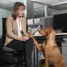 PURINA PetsOffice Nicole Buchberger.jpg