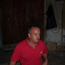368811.jpg