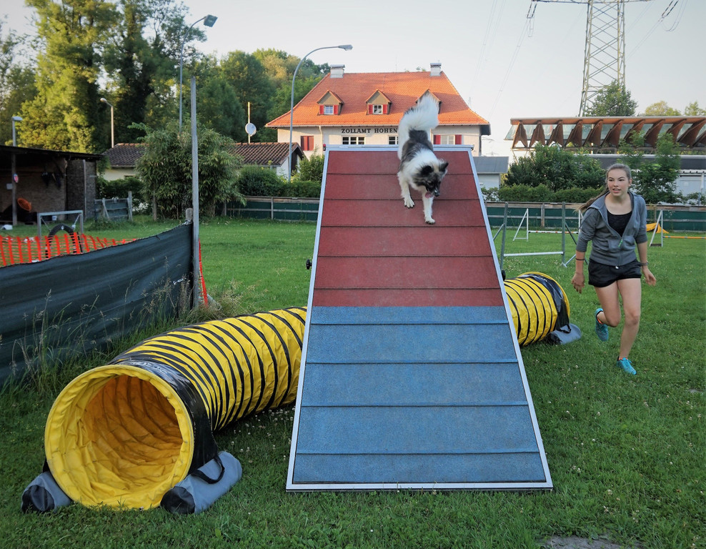 etu_agility_1.jpg