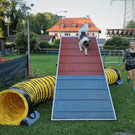 etu_agility_1.jpg