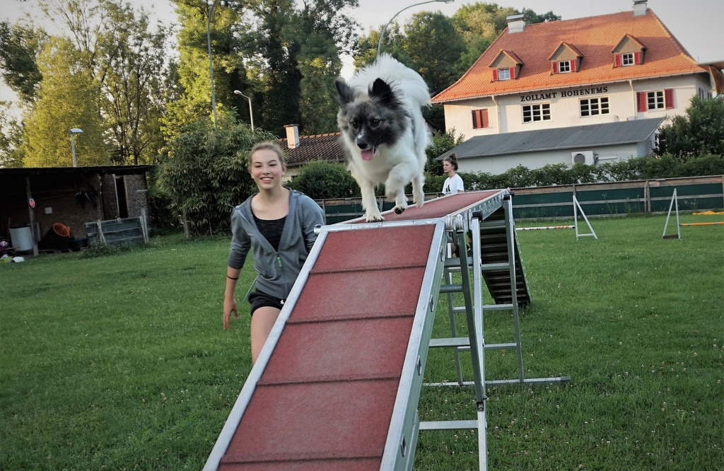 etu_agility_2.jpg
