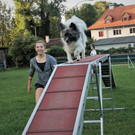 etu_agility_2.jpg